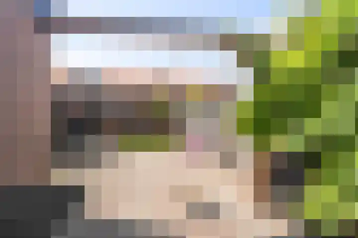Bollenstraat 23 Kreileroord thumbnail 4