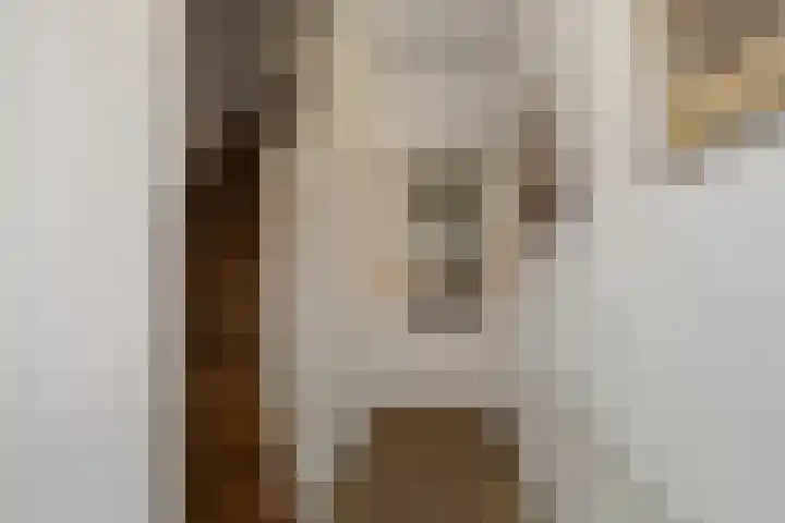 Bollenstraat 23 Kreileroord thumbnail 6