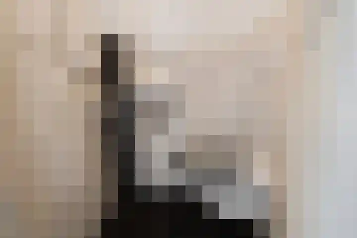 Bollenstraat 23 Kreileroord thumbnail 7