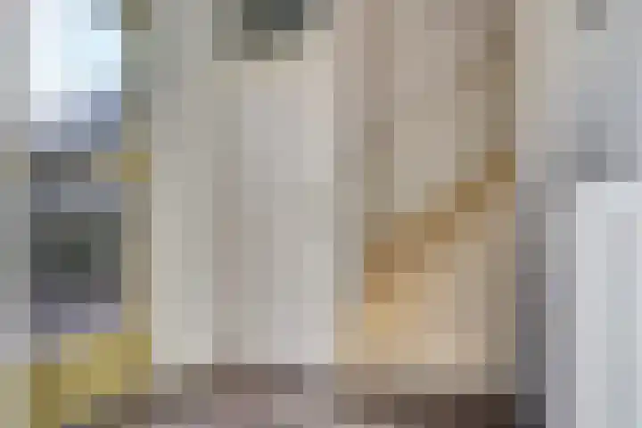 Bollenstraat 35 Kreileroord thumbnail 6