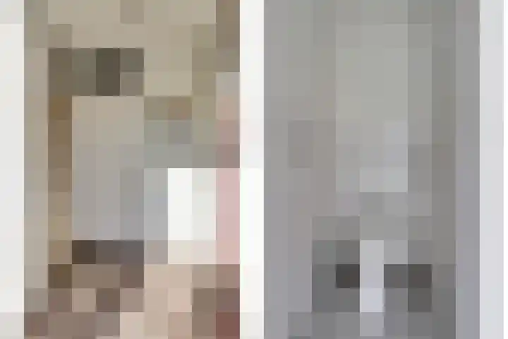 Bollenstraat 35 Kreileroord thumbnail 7