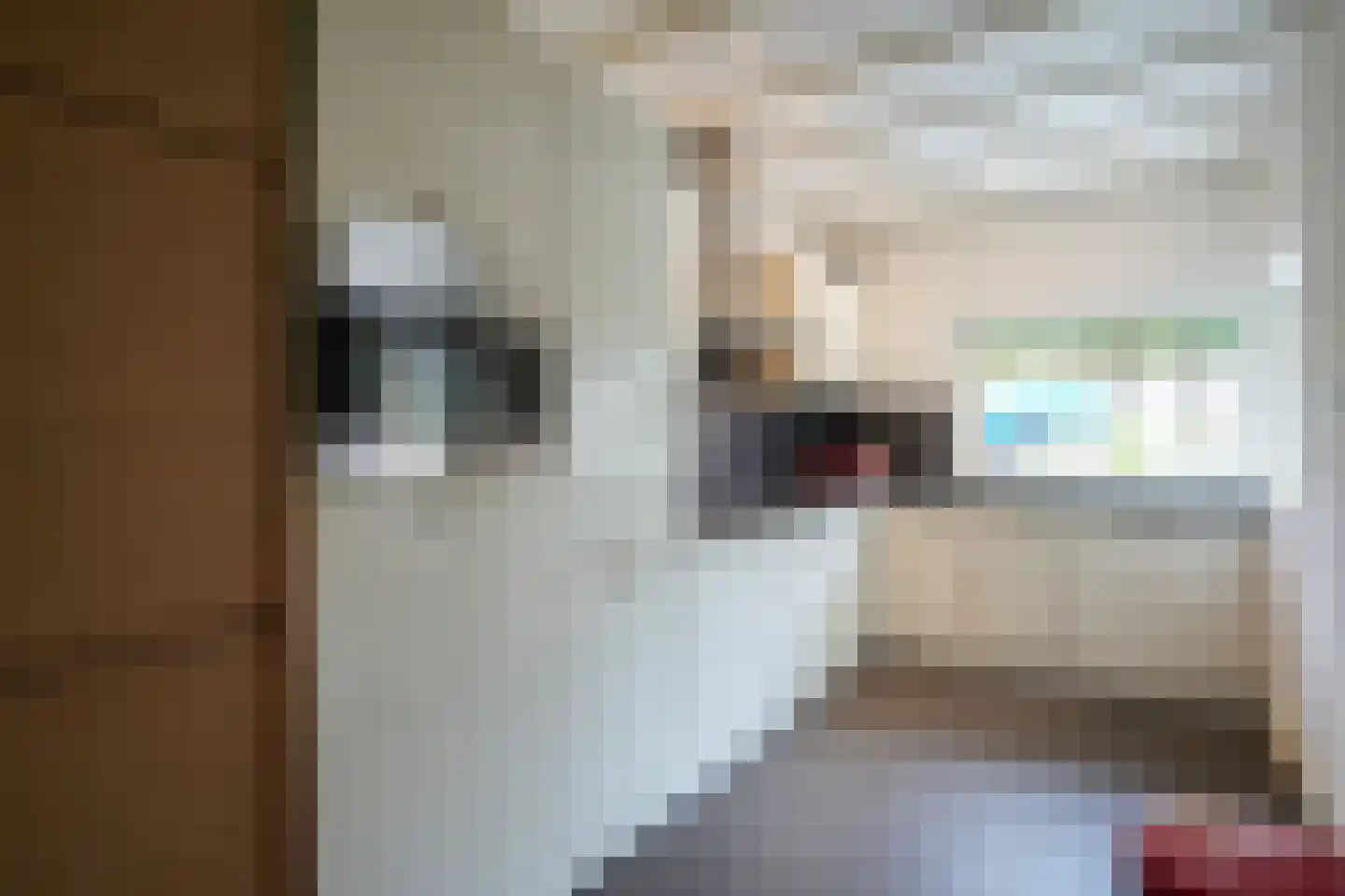 Bollenstraat 6 Geleen thumbnail 10