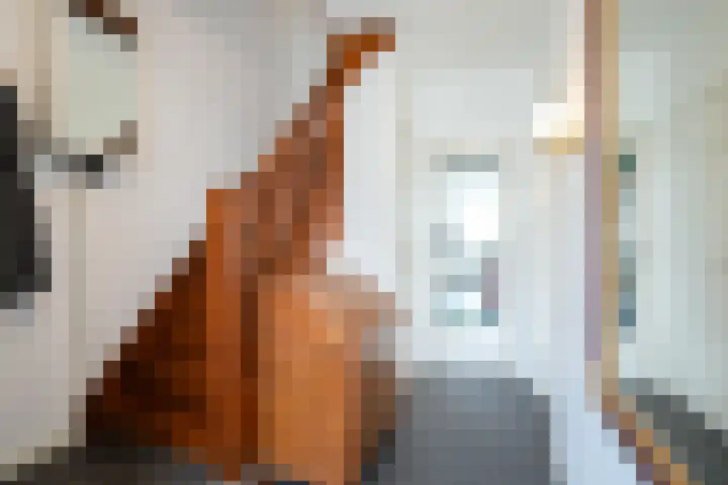 Bollenstraat 6 Geleen thumbnail 13
