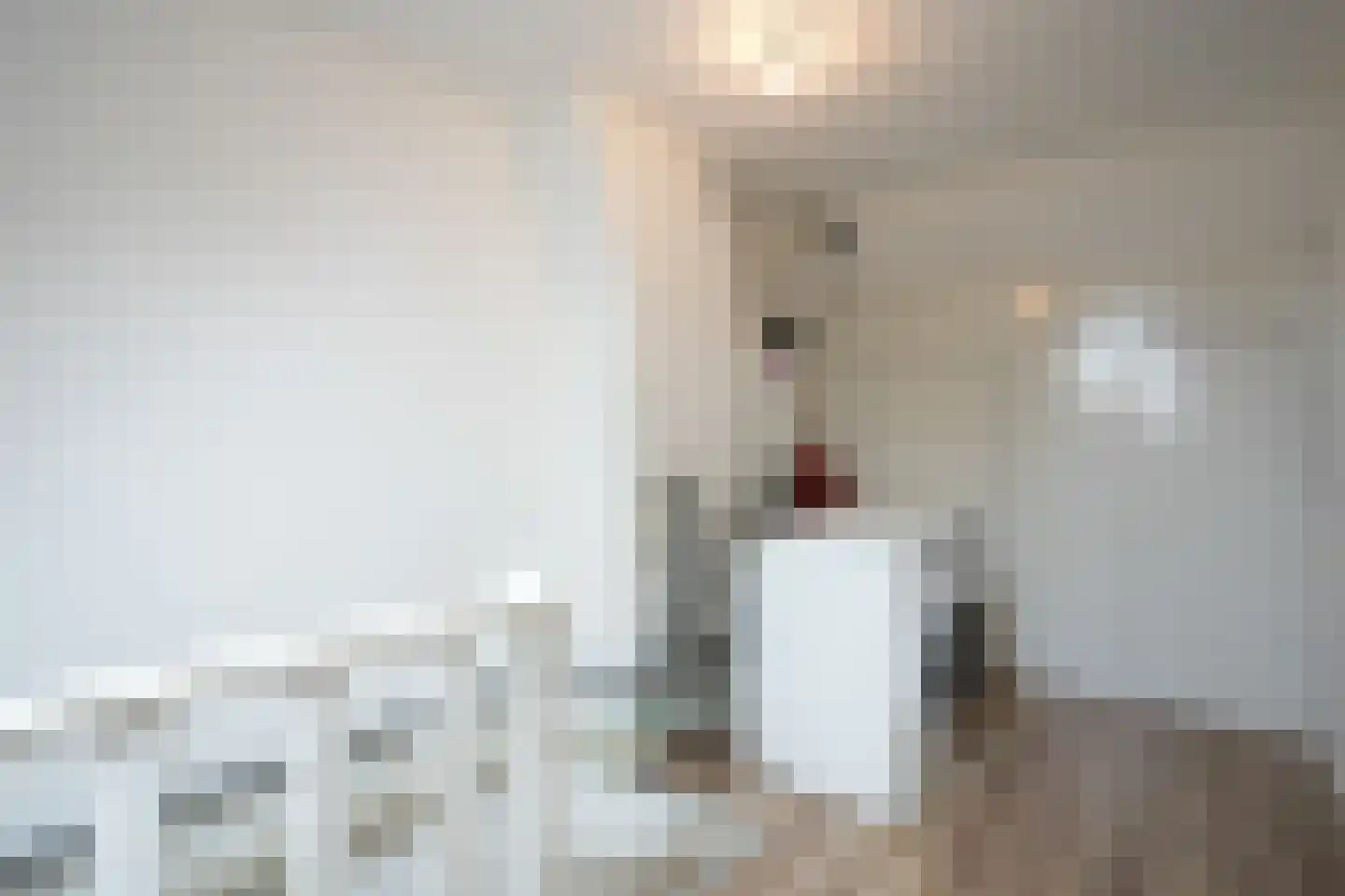 Bollenstraat 6 Geleen thumbnail 22