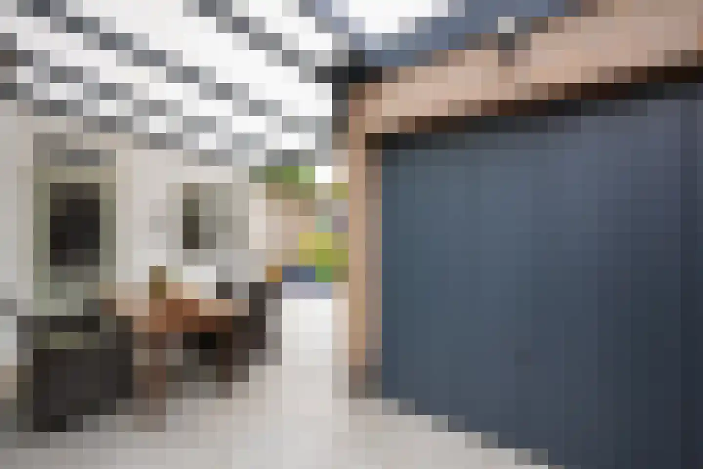 Bollenstraat 6 Geleen thumbnail 31