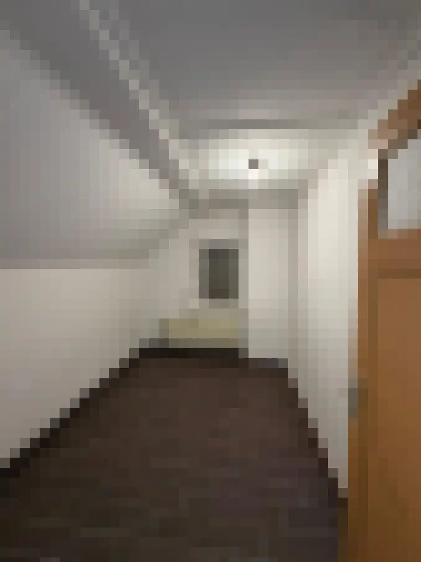 Bollenstraat 8 Geleen thumbnail 15