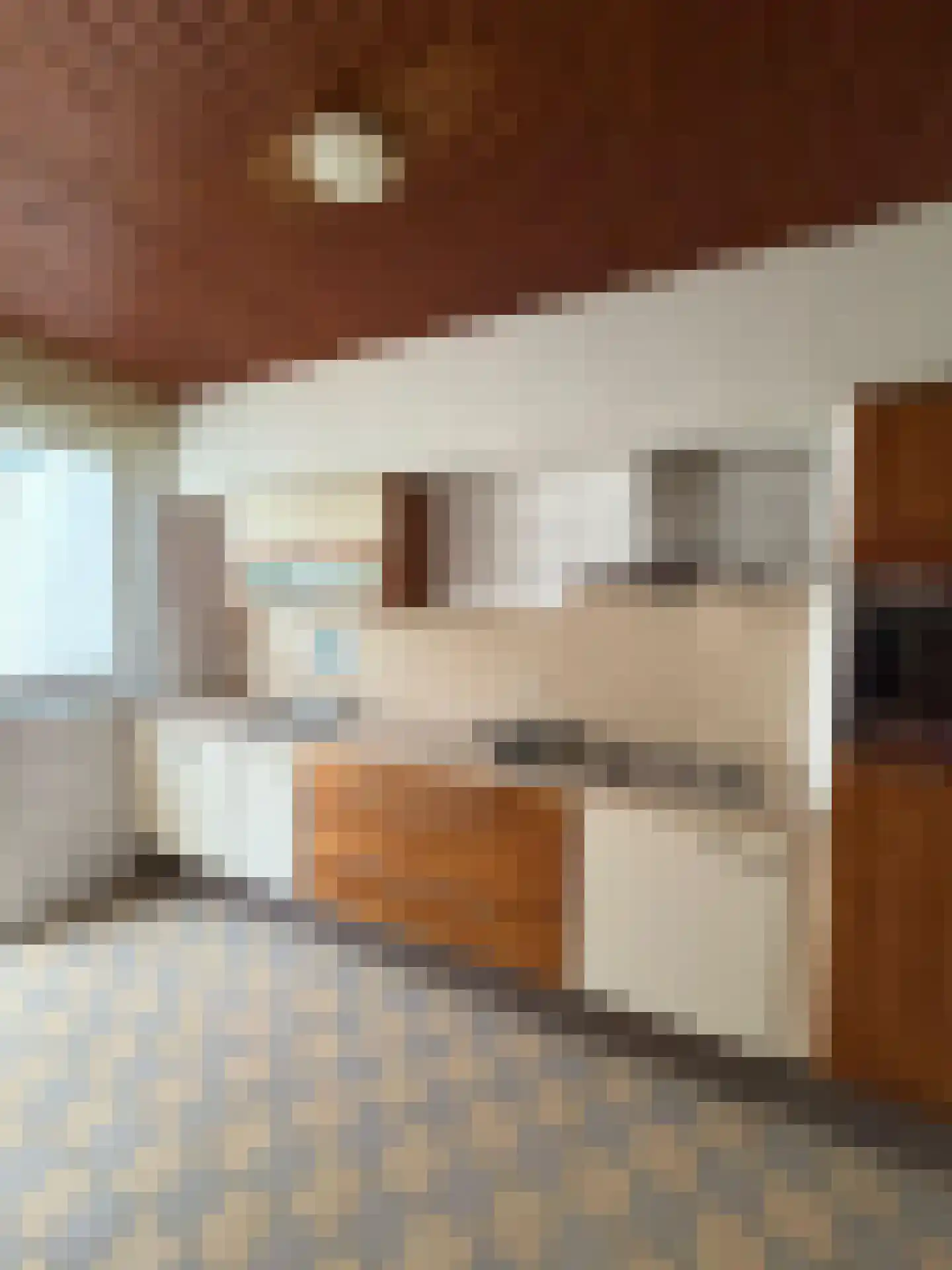 Bollenstraat 8 Geleen thumbnail 6