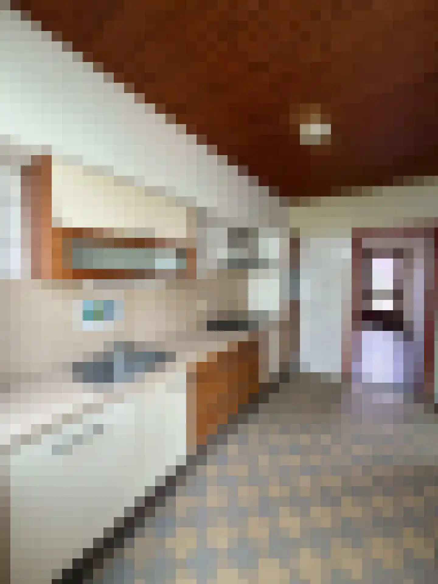 Bollenstraat 8 Geleen thumbnail 7