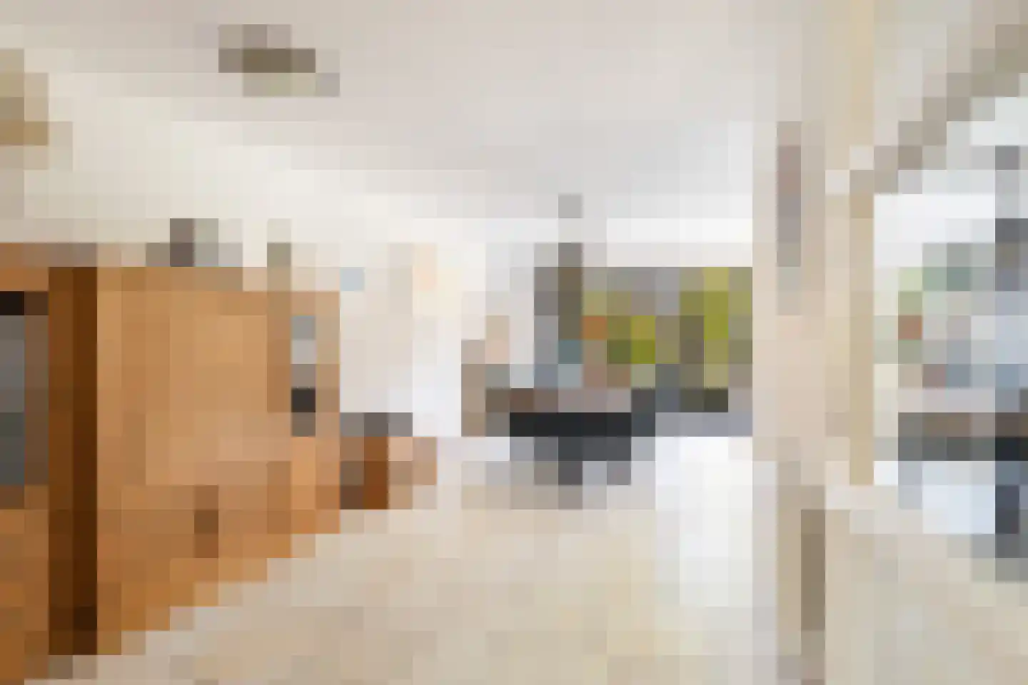 Bollenveld 2 Stolwijk thumbnail 11