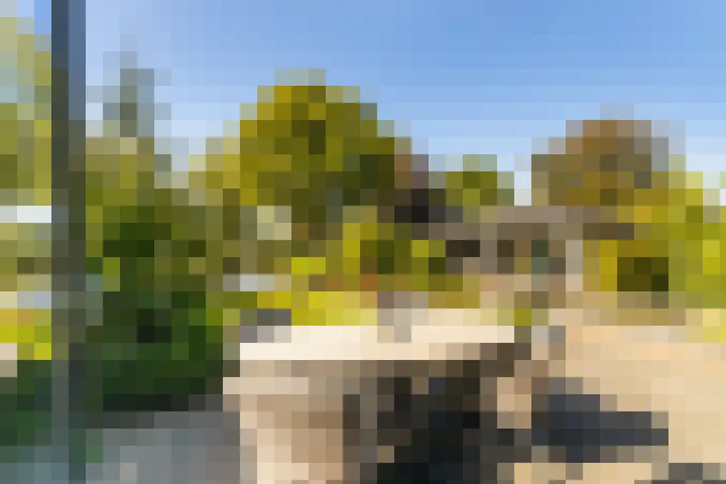 Bollenveld 2 Stolwijk thumbnail 15