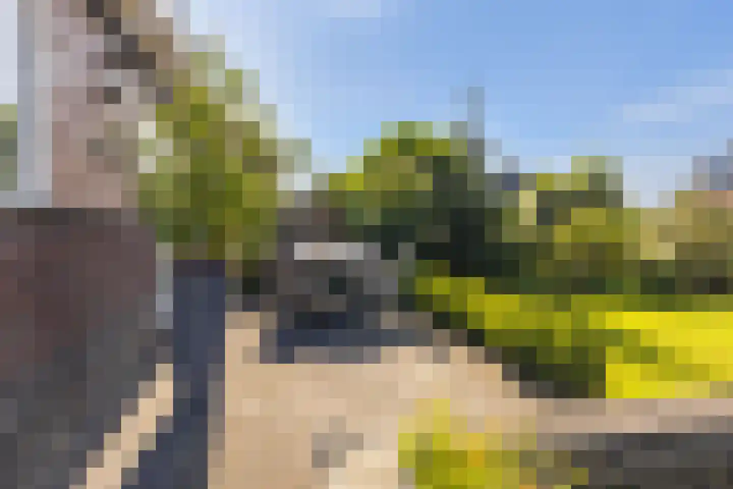 Bollenveld 2 Stolwijk thumbnail 17