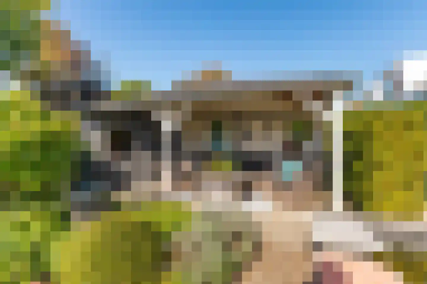 Bollenveld 2 Stolwijk thumbnail 18