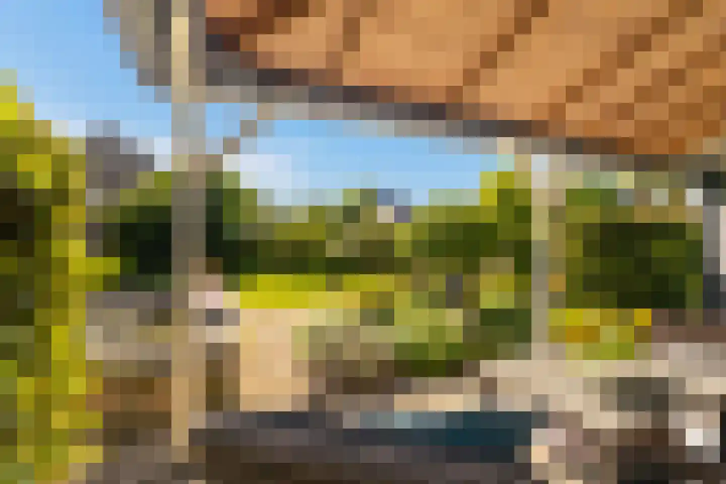 Bollenveld 2 Stolwijk thumbnail 19