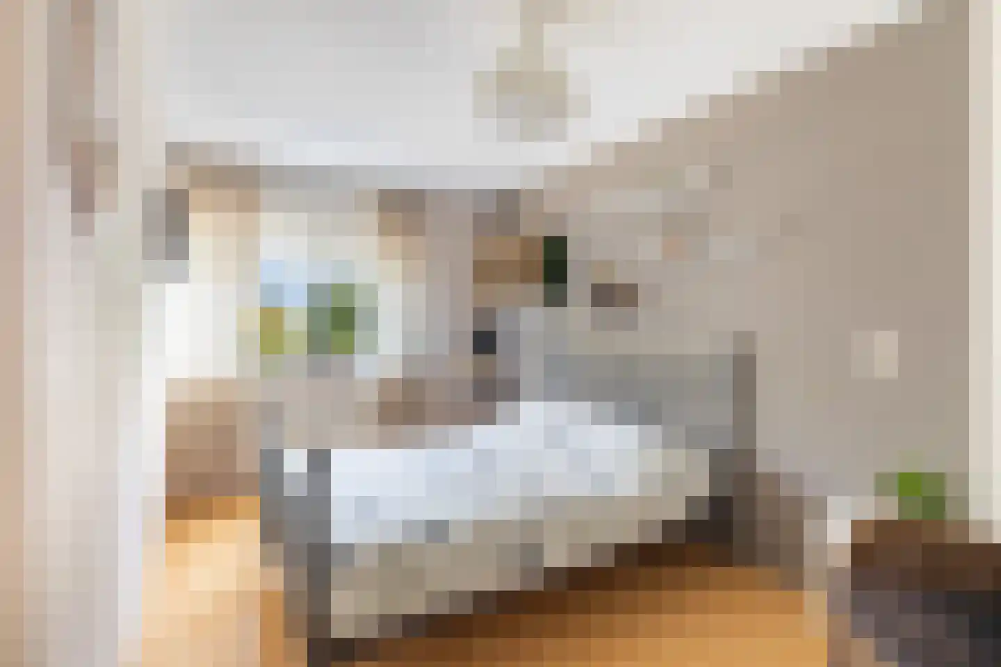 Bollenveld 2 Stolwijk thumbnail 29
