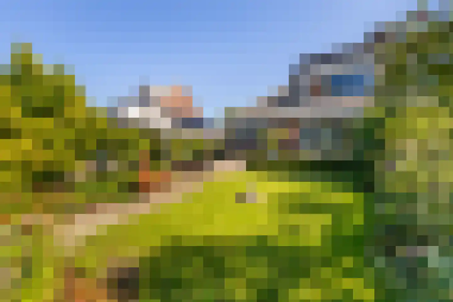 Bollenveld 2 Stolwijk thumbnail 39