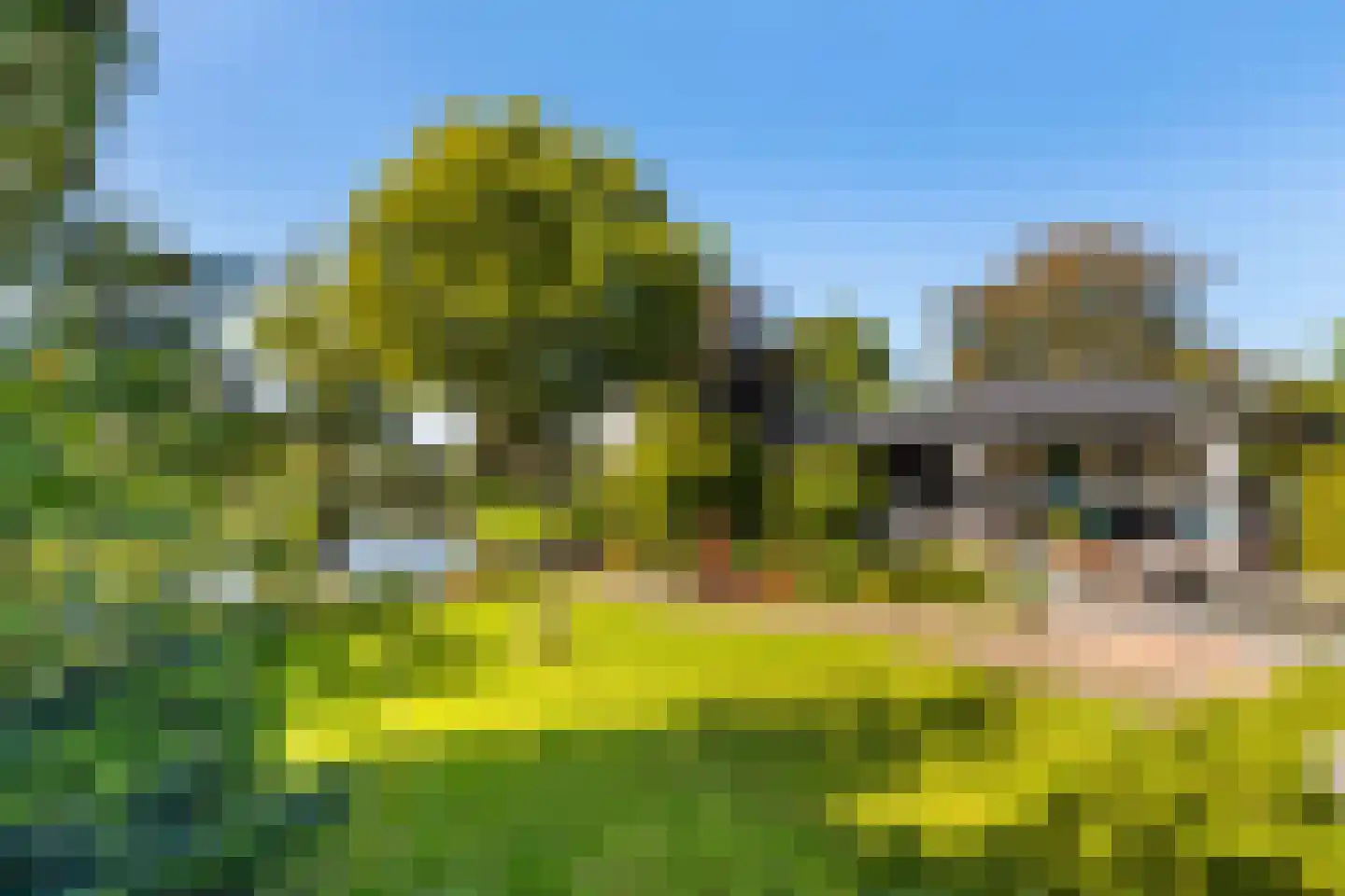 Bollenveld 2 Stolwijk thumbnail 4