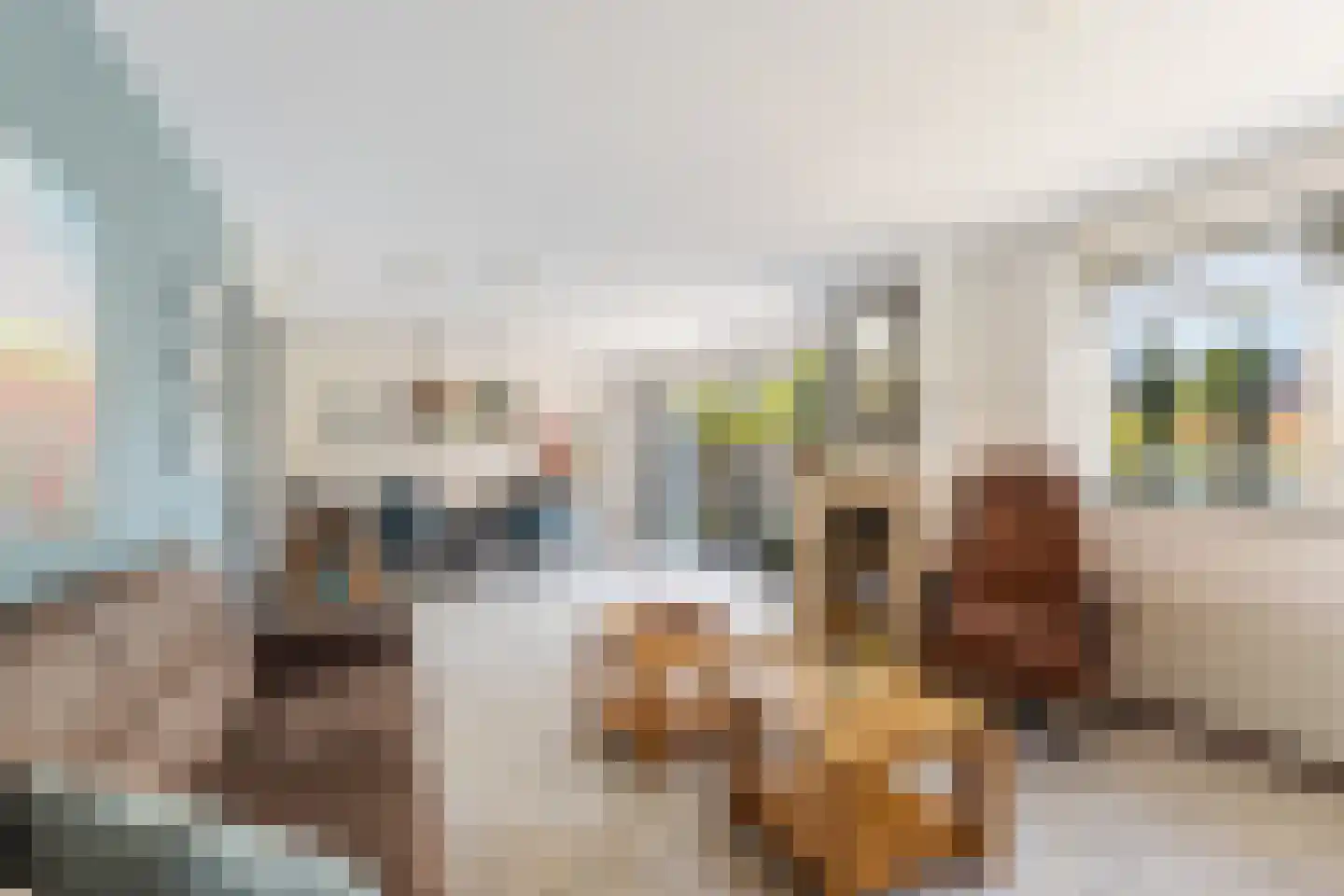 Bollenveld 2 Stolwijk thumbnail 5