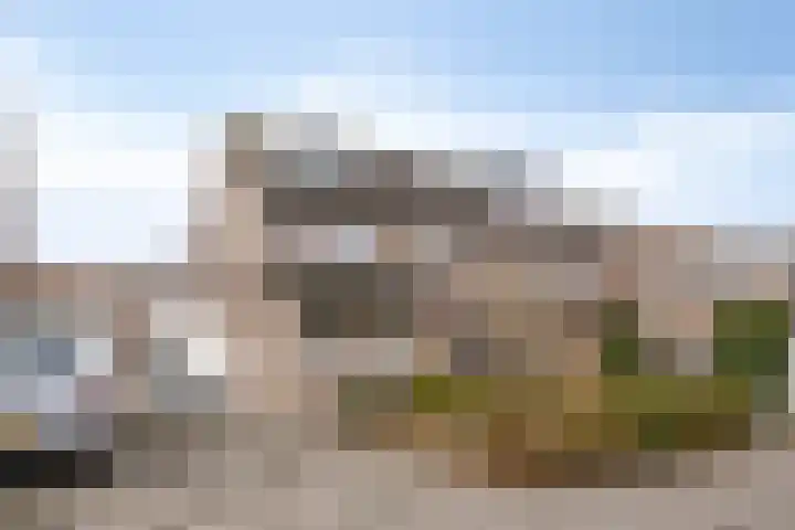 Bollenveld 66 's-Hertogenbosch thumbnail 10