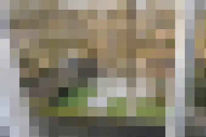 Bollenveld 66 's-Hertogenbosch thumbnail 31