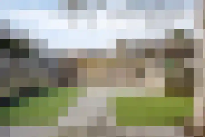 Bollenveld 66 's-Hertogenbosch thumbnail 45