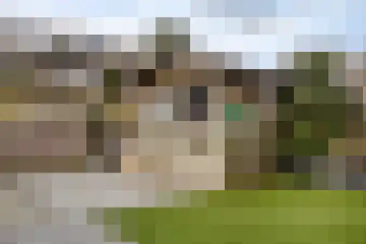 Bollenveld 66 's-Hertogenbosch thumbnail 46
