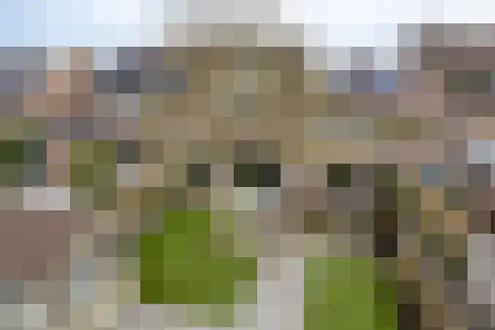 Bollenveld 66 's-Hertogenbosch thumbnail 48