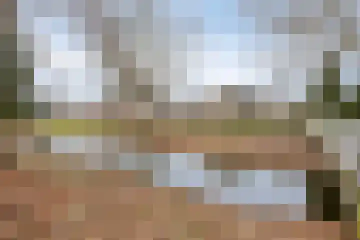 Bollenveld 66 's-Hertogenbosch thumbnail 49