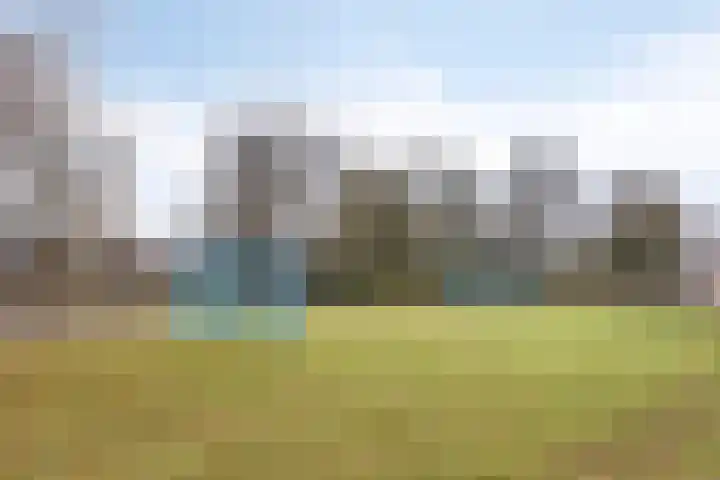 Bollenveld 66 's-Hertogenbosch thumbnail 51