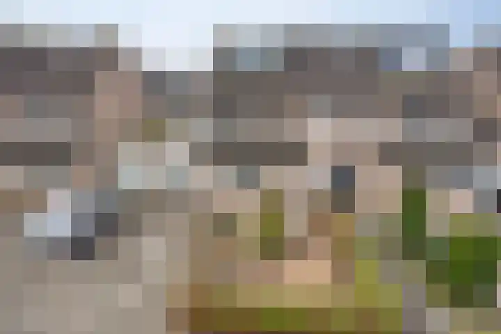 Bollenveld 66 's-Hertogenbosch thumbnail 6