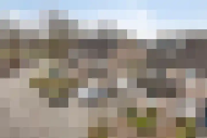Bollenveld 66 's-Hertogenbosch thumbnail 7