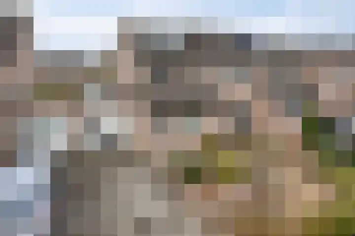 Bollenveld 66 's-Hertogenbosch thumbnail 8