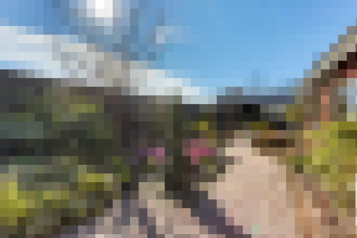Bollenweg 5 a Ambt Delden thumbnail 29