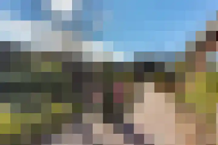 Bollenweg 5 a Ambt Delden thumbnail 30