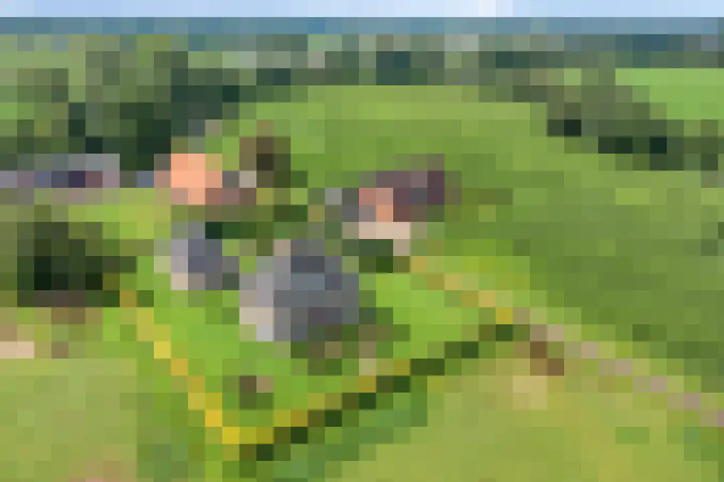 Bollenweg 5 Ambt Delden thumbnail 64