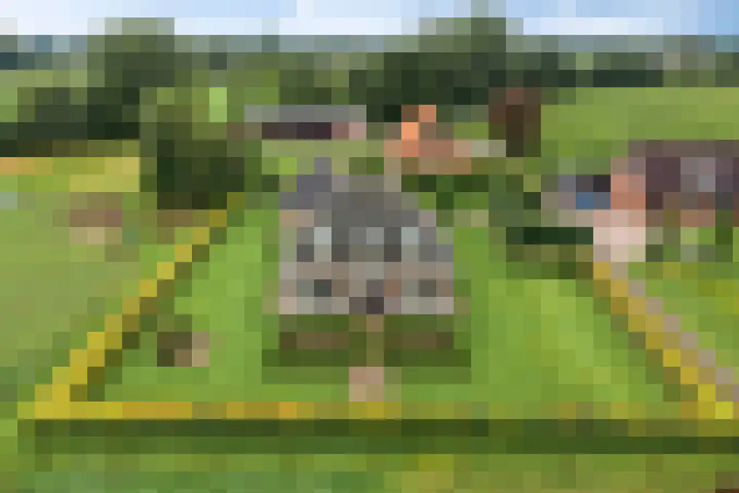 Bollenweg 5 Ambt Delden thumbnail 66