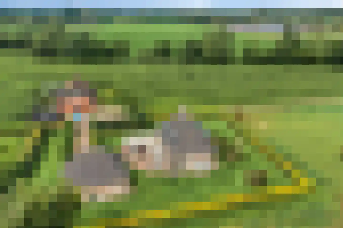Bollenweg 5 Ambt Delden thumbnail 68