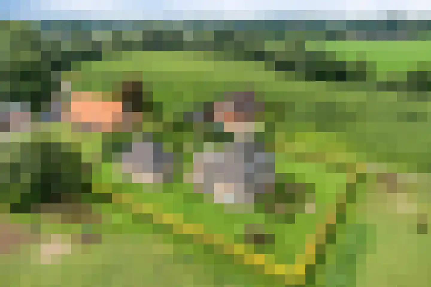 Bollenweg 5 Ambt Delden thumbnail 69