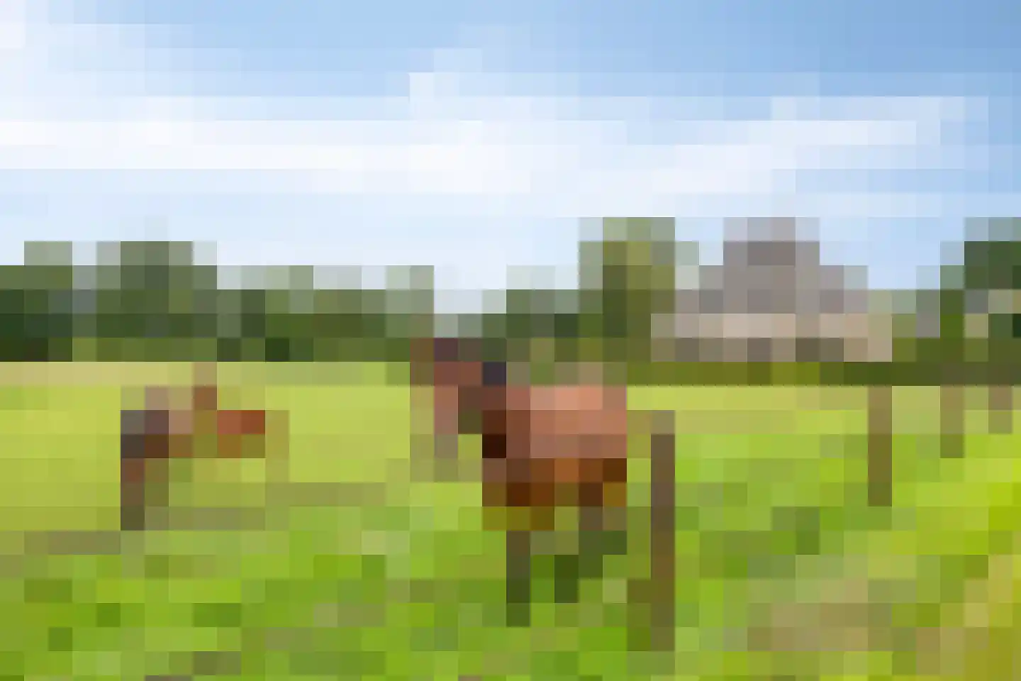 Bollenweg 5 Ambt Delden thumbnail 70