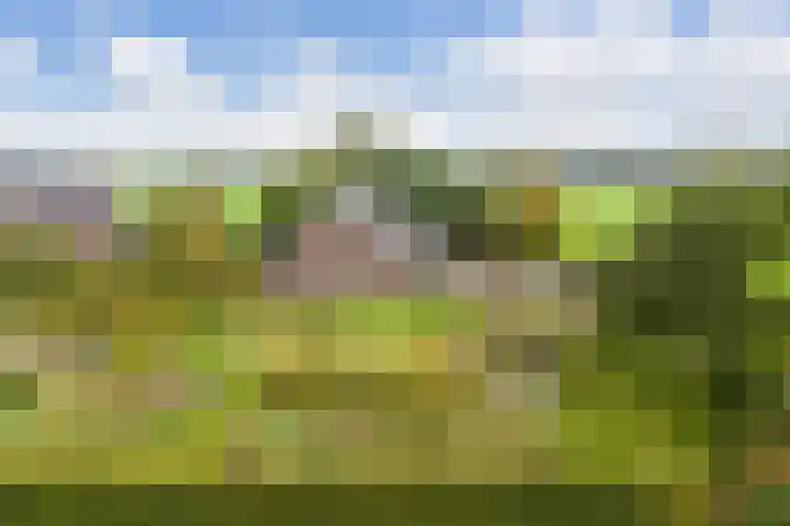 Bollenweg 9 b Ambt Delden thumbnail 10