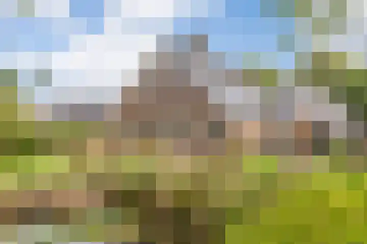Bollenweg 9 b Ambt Delden thumbnail 12