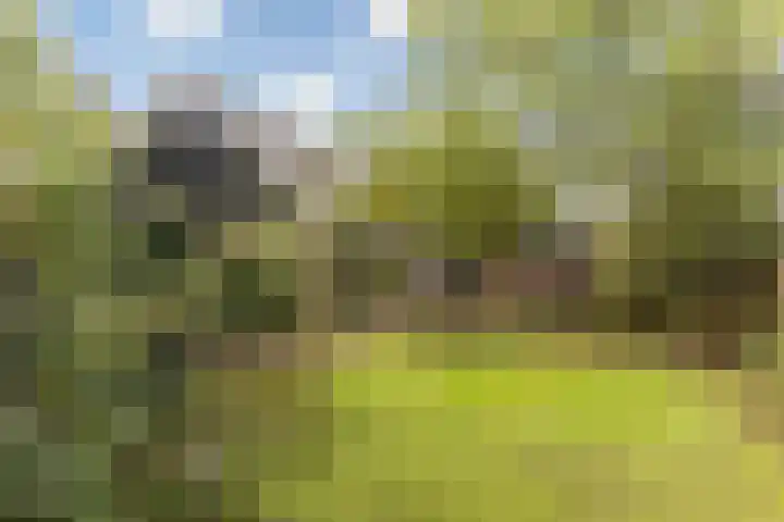 Bollenweg 9 b Ambt Delden thumbnail 47