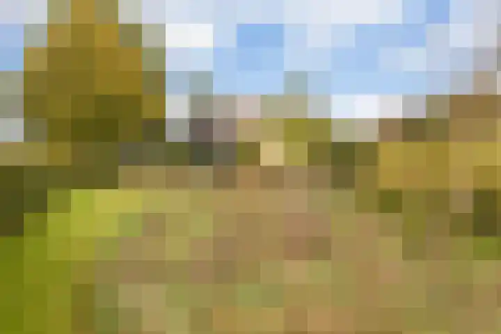 Bollenweg 9 b Ambt Delden thumbnail 50