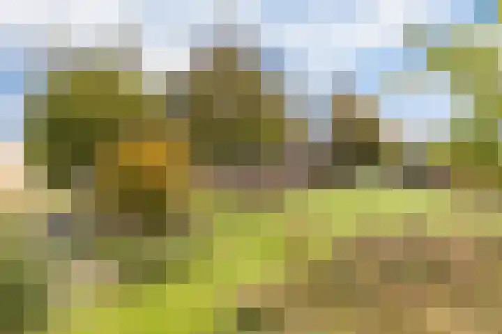 Bollenweg 9 b Ambt Delden thumbnail 51