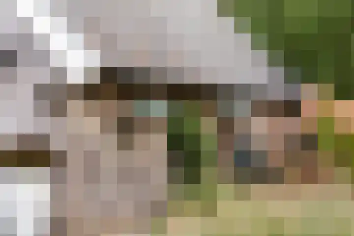 Bollenweg 9 b Ambt Delden thumbnail 6