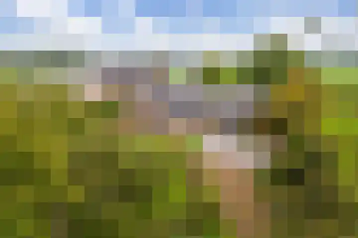 Bollenweg 9 b Ambt Delden thumbnail 8