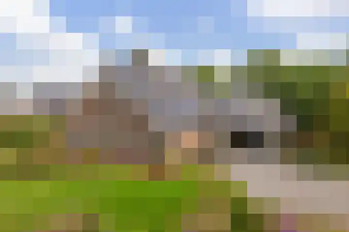 Bollenweg 9 b Ambt Delden thumbnail 9