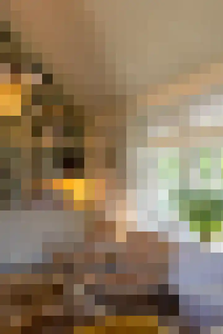 Bolmansweg 5 Epse thumbnail 11