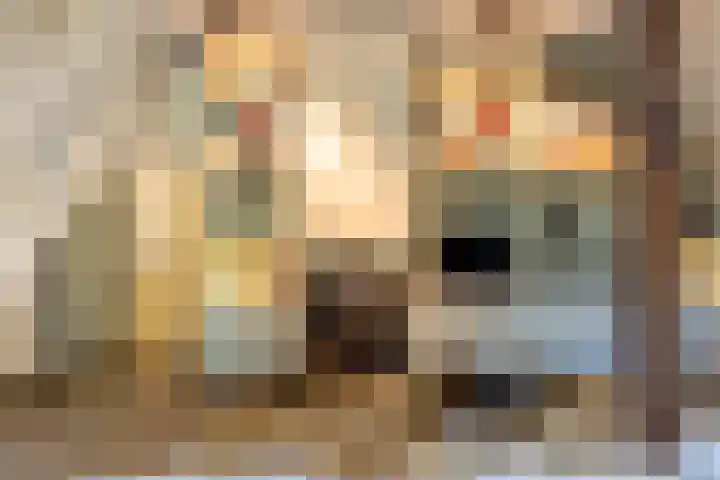 Bolmansweg 5 Epse thumbnail 12