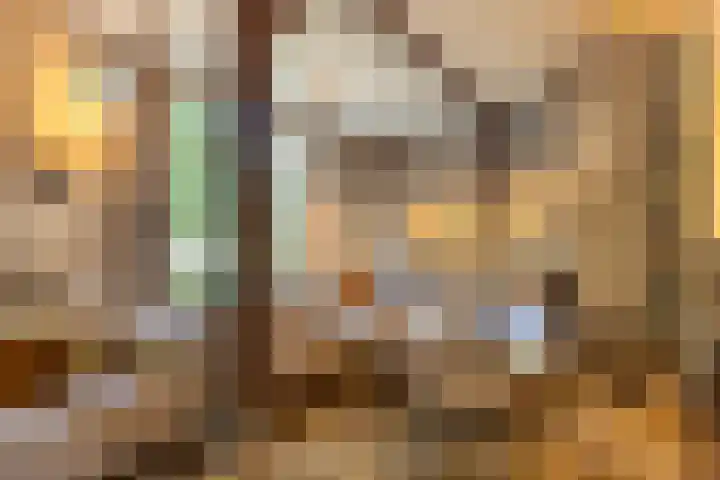 Bolmansweg 5 Epse thumbnail 14
