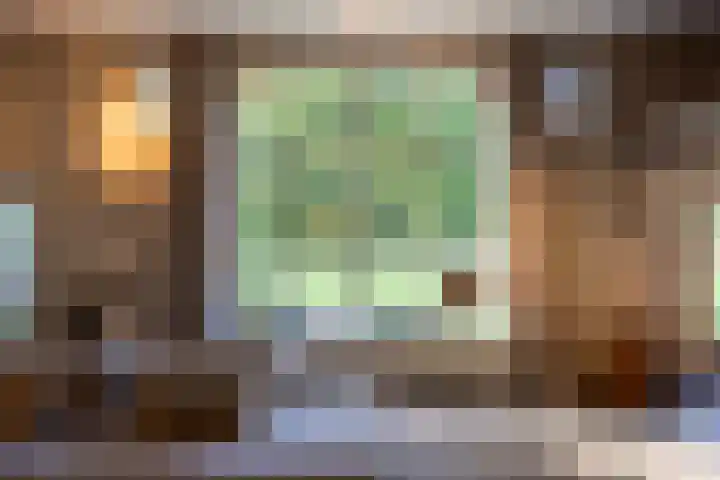 Bolmansweg 5 Epse thumbnail 15